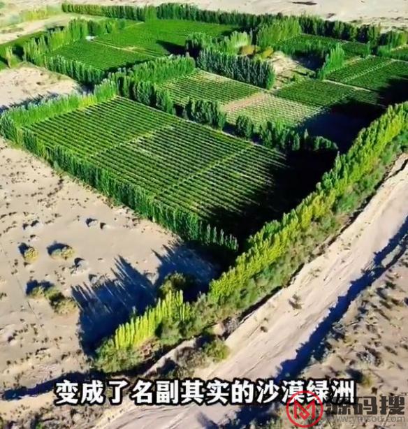 游侠网6
