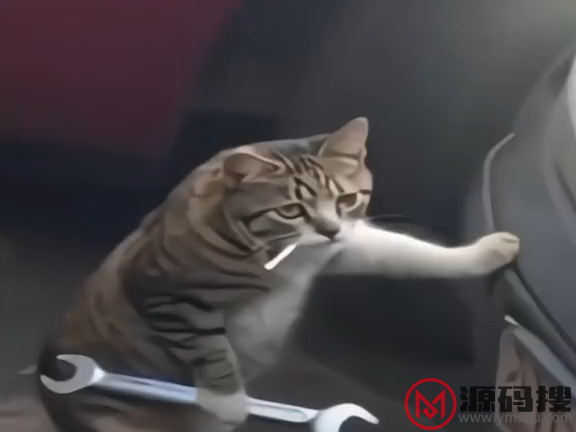 游侠网14