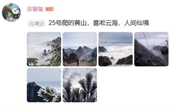 游侠网8