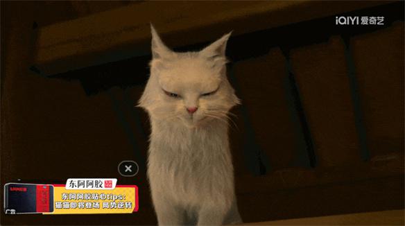 游侠网5