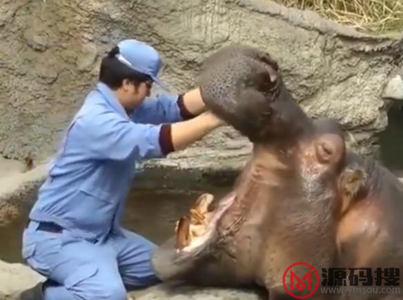 游侠网6