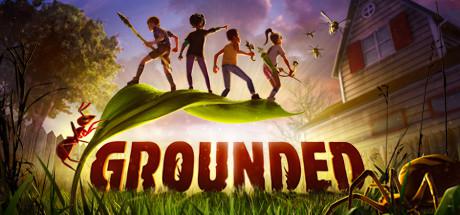 禁闭求生/变成小人冒险/Grounded/支持网络联机